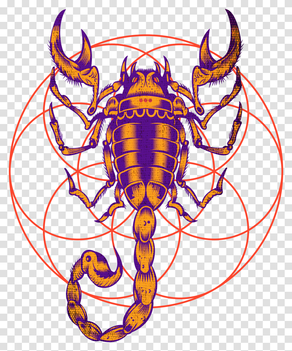 Detail Scorpio Zodiac Png Nomer 40