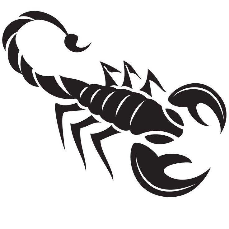 Detail Scorpion Clipart Simple Nomer 14