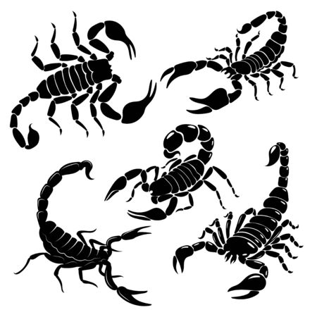 Detail Scorpion Clipart Simple Nomer 24