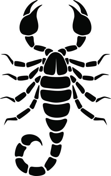 Detail Scorpion Clipart Simple Nomer 5