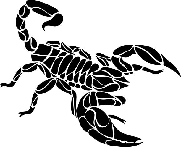 Detail Scorpion Clipart Simple Nomer 42