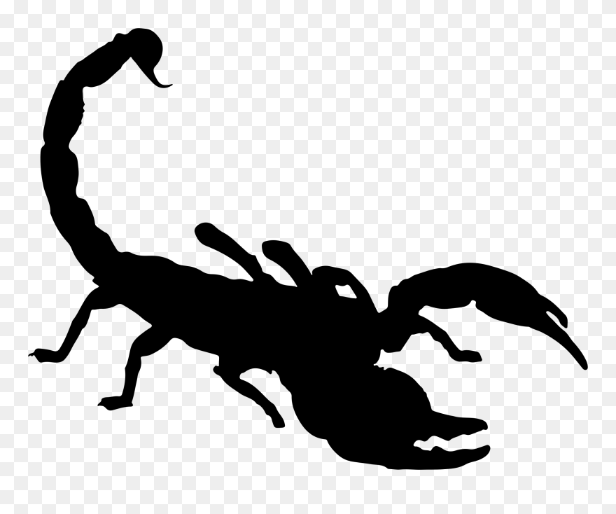 Detail Scorpion Download Nomer 30