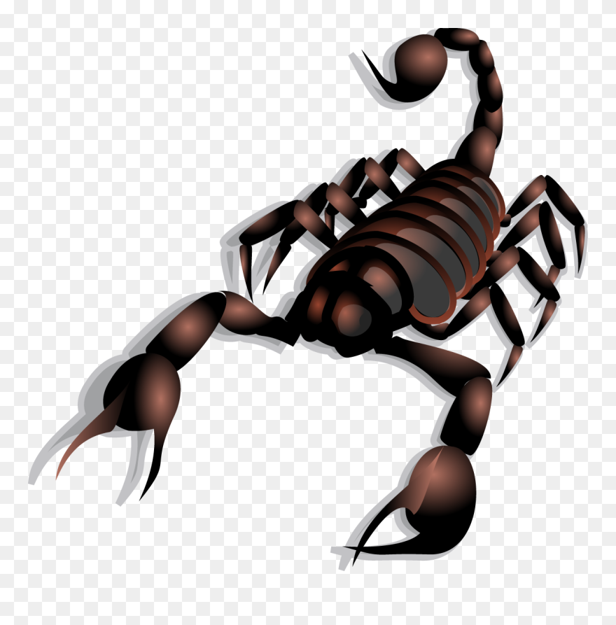 Detail Scorpion Download Nomer 6