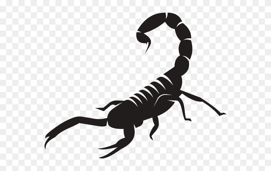 Detail Scorpion Download Nomer 54