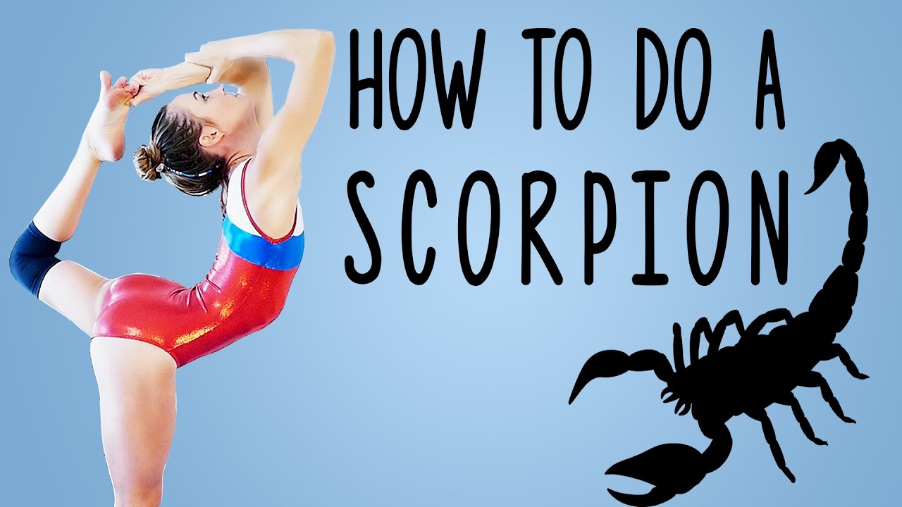 Detail Scorpion Gymnastics Nomer 2