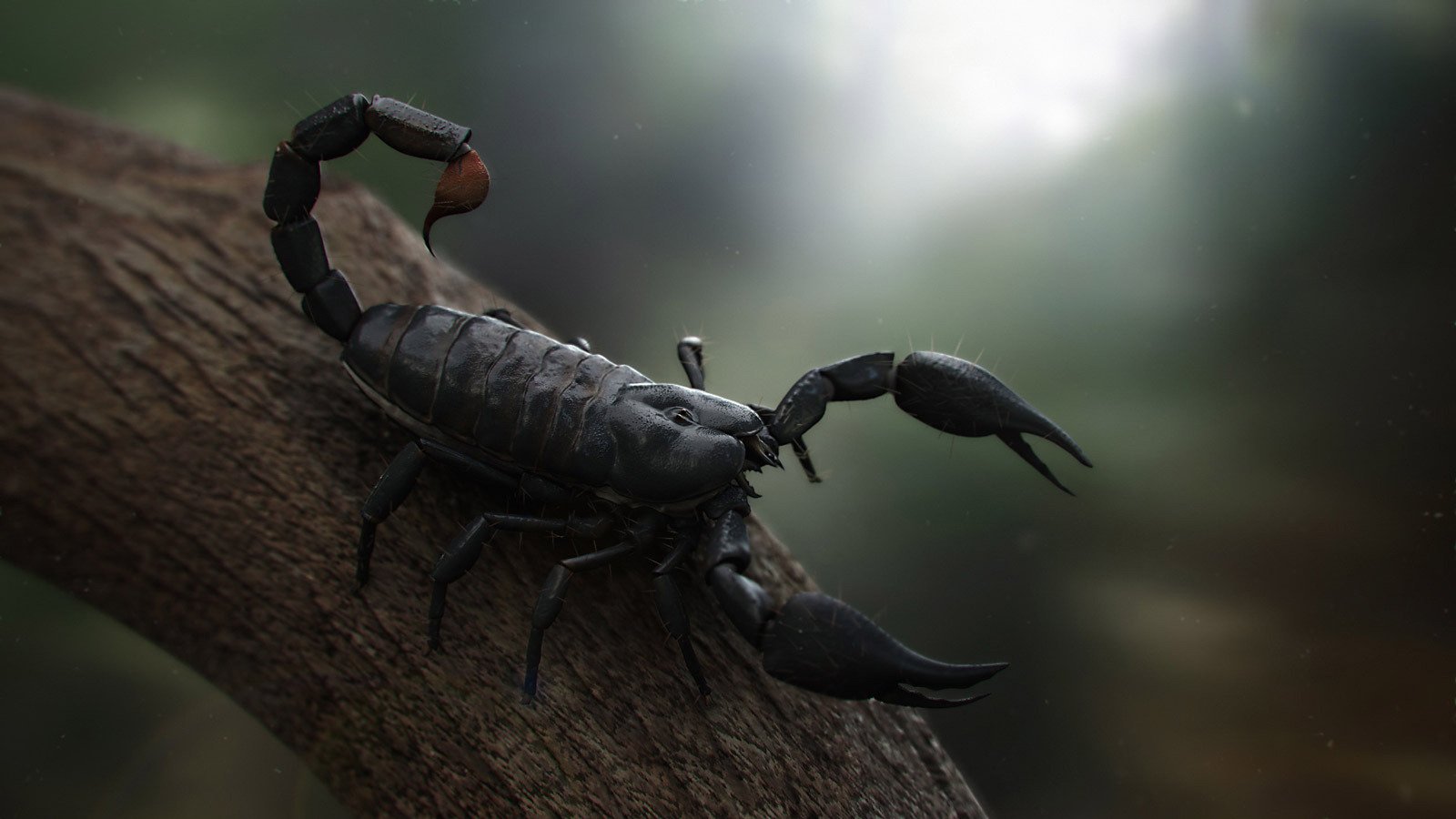 Detail Scorpion Image Hd Nomer 2
