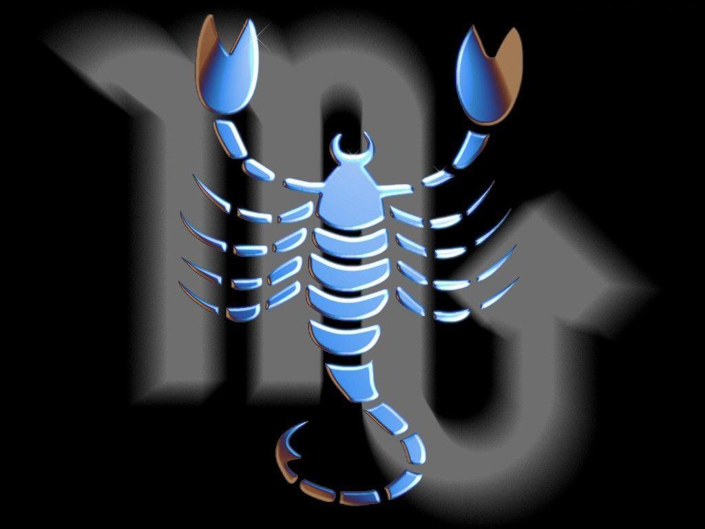 Detail Scorpion Image Hd Nomer 33
