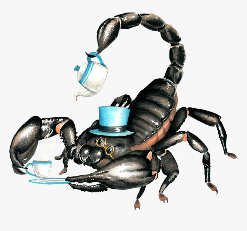 Detail Scorpion Image Hd Nomer 37