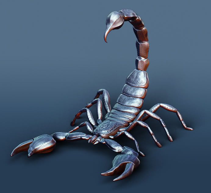 Detail Scorpion Image Hd Nomer 40