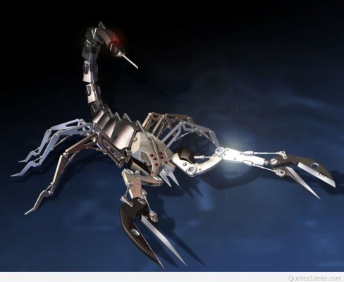 Detail Scorpion Image Hd Nomer 41