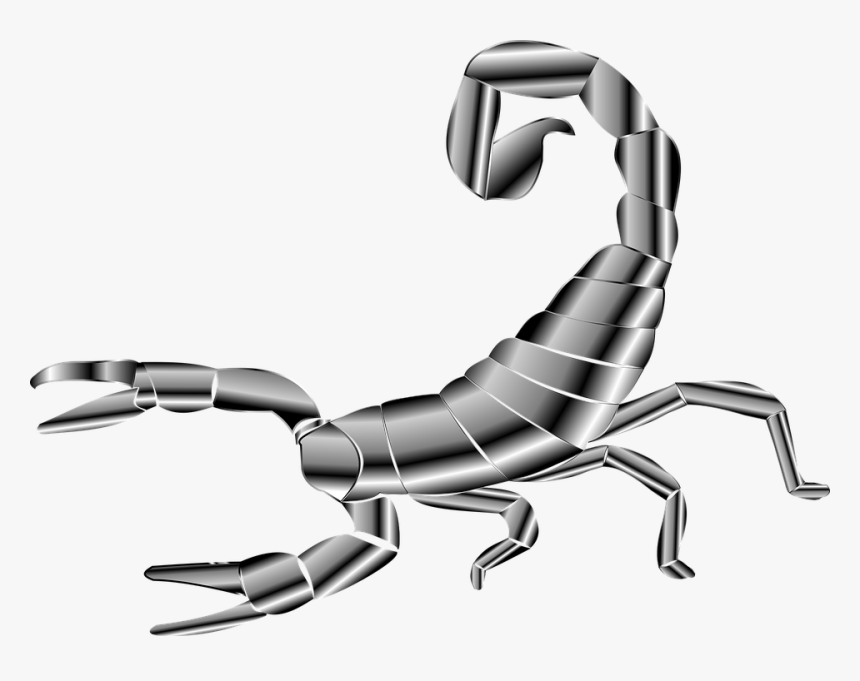Detail Scorpion Image Hd Nomer 55