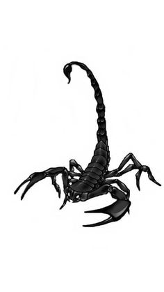 Detail Scorpion Image Hd Nomer 7