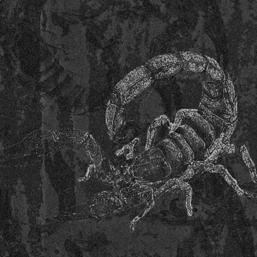 Detail Scorpion Images Free Download Nomer 29