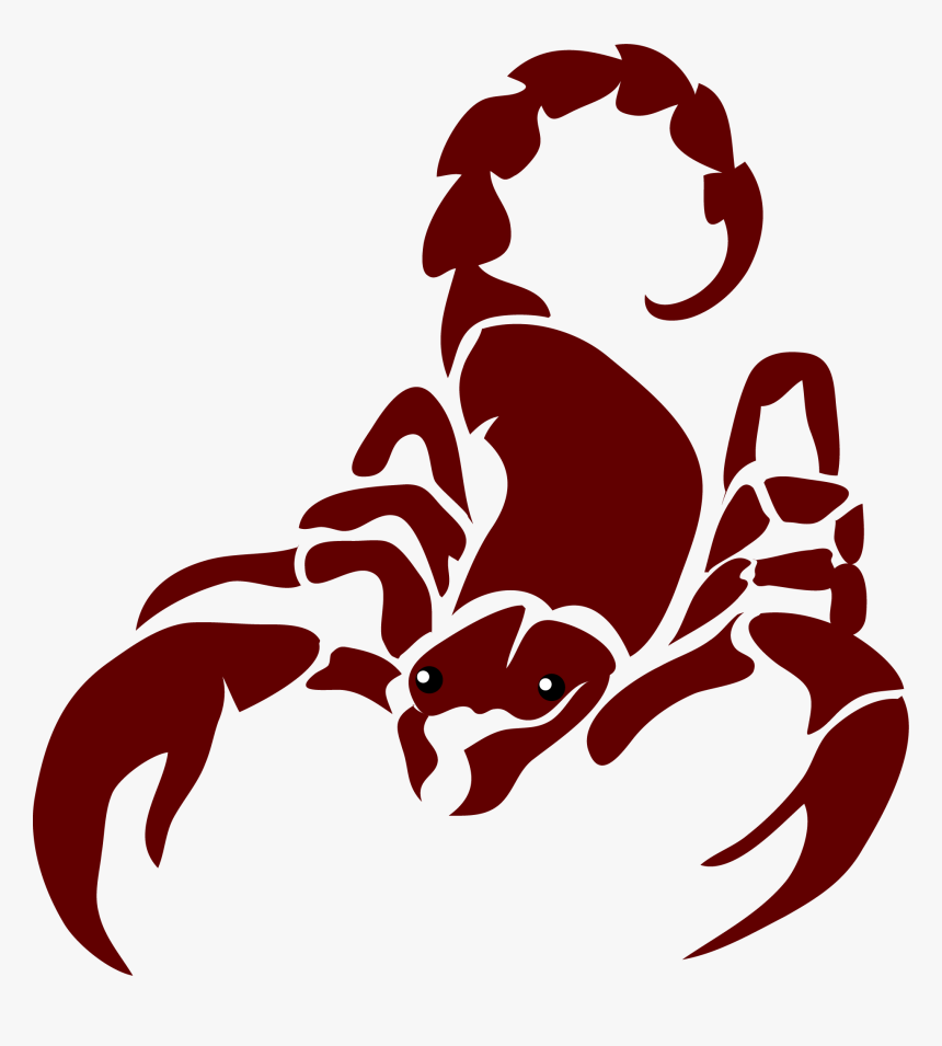 Download Scorpion Images Free Download Nomer 52