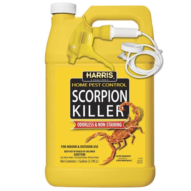 Detail Scorpion In Toilet Bowl Nomer 41