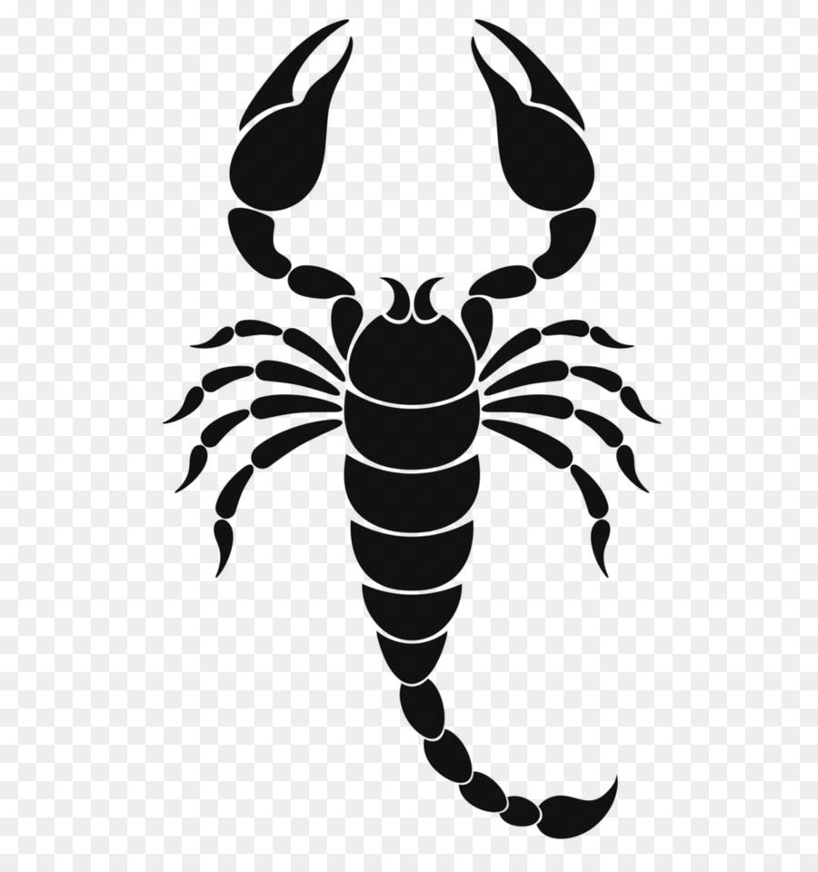Detail Scorpion Logo Png Nomer 44