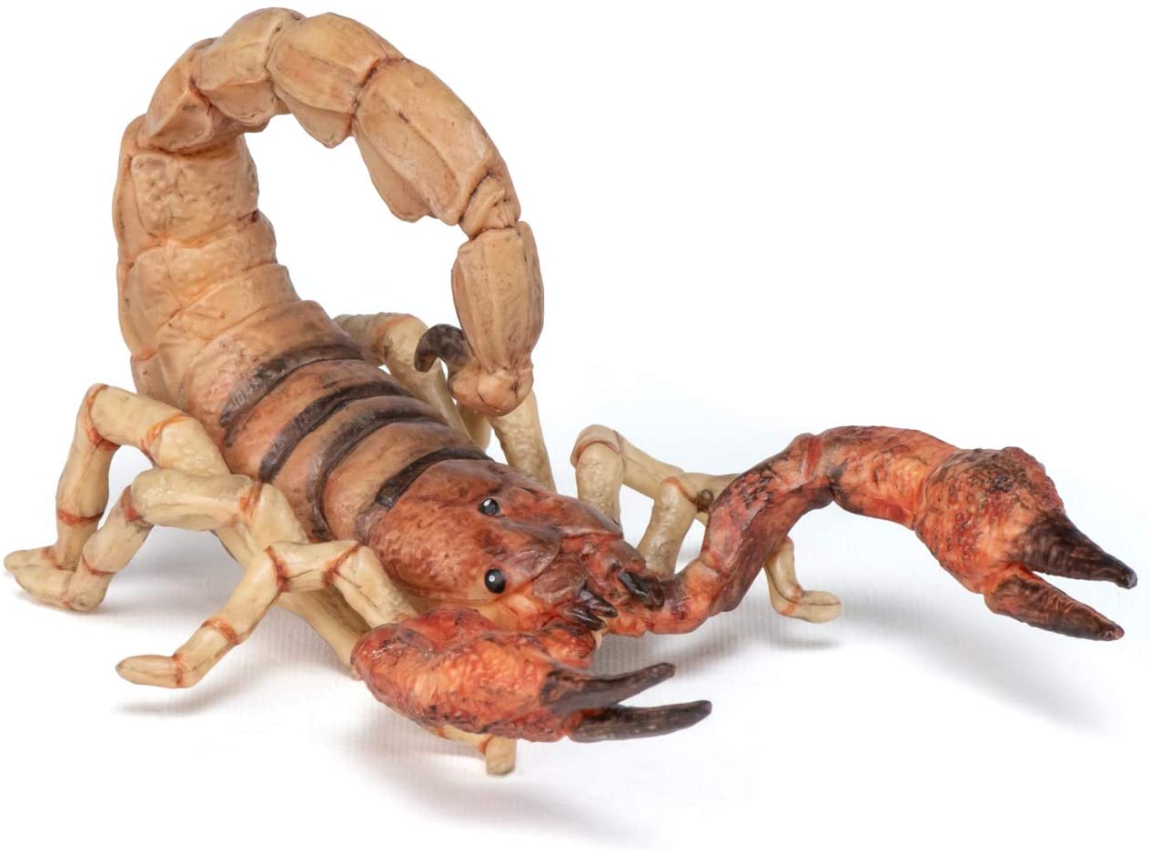 Detail Scorpion Pic Nomer 23