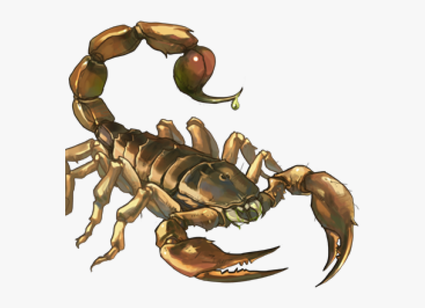 Detail Scorpion Png Nomer 11