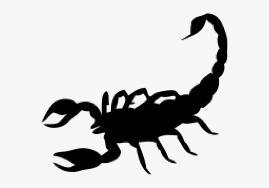 Detail Scorpion Png Nomer 14