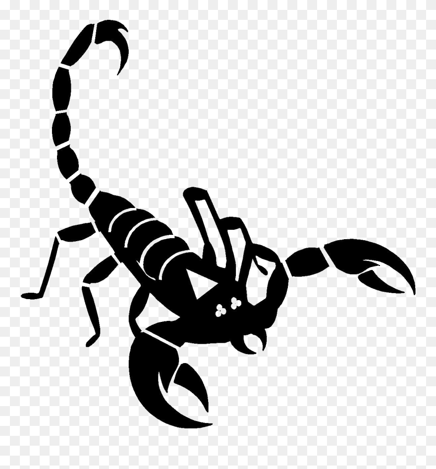 Detail Scorpion Png Nomer 23