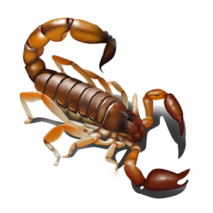 Detail Scorpion Png Nomer 29