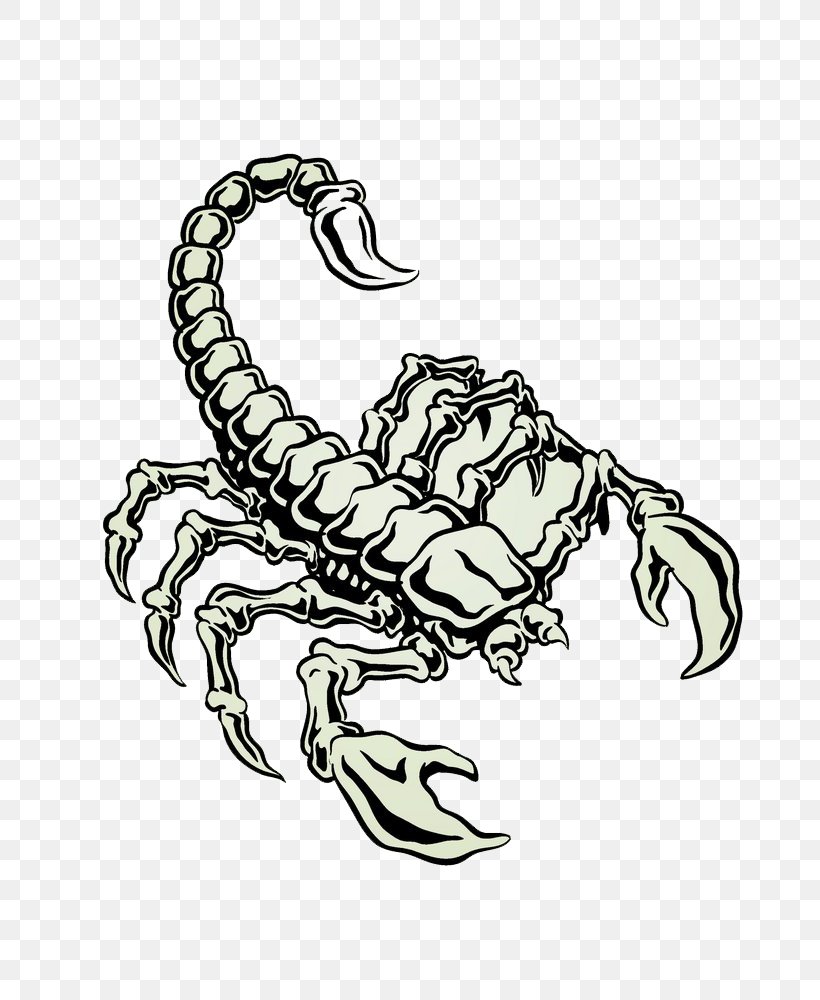 Detail Scorpion Png Nomer 34