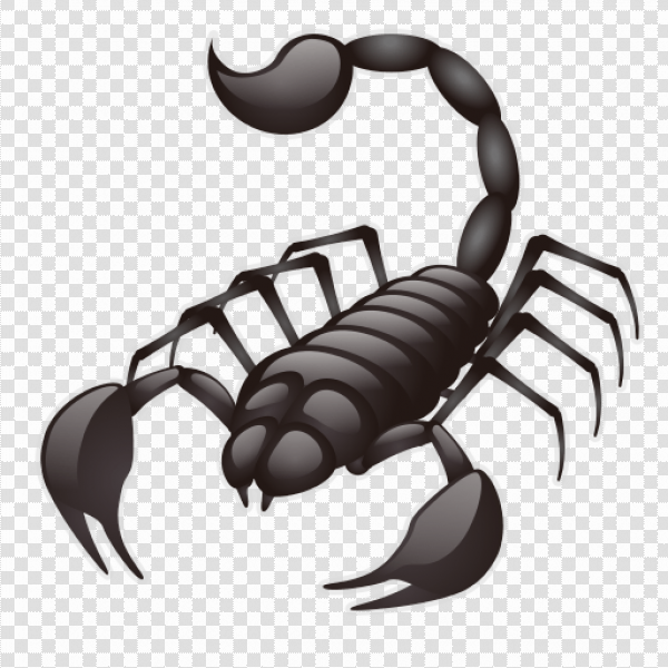 Detail Scorpion Png Nomer 35