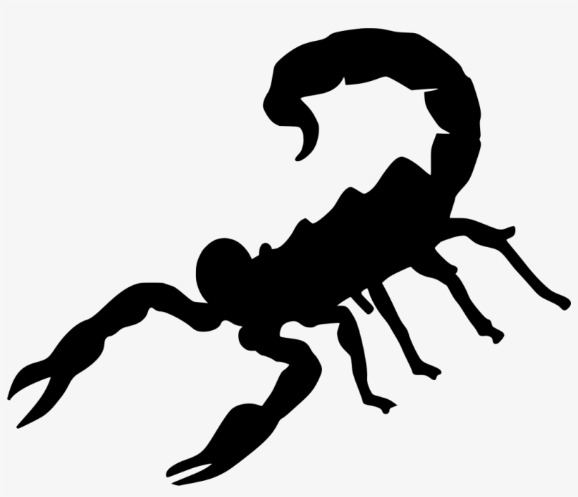 Detail Scorpion Png Nomer 41