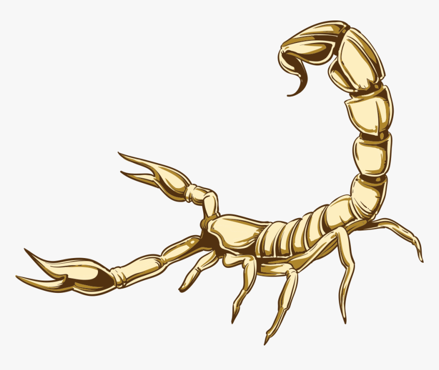 Detail Scorpion Png Nomer 43