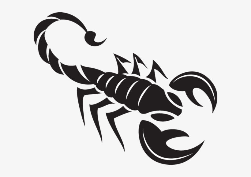 Detail Scorpion Png Nomer 50