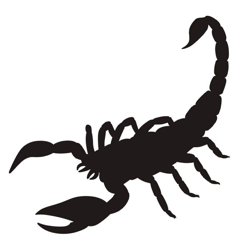 Detail Scorpion Silhouette Tattoo Nomer 2
