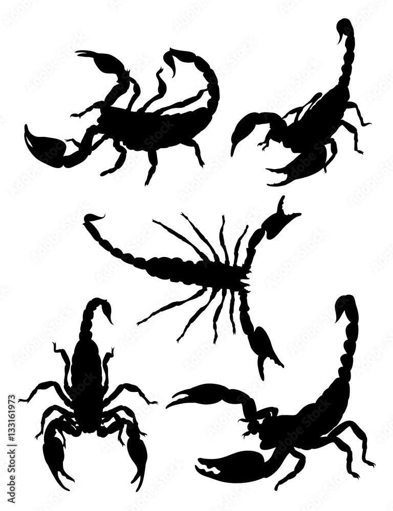 Detail Scorpion Silhouette Tattoo Nomer 30