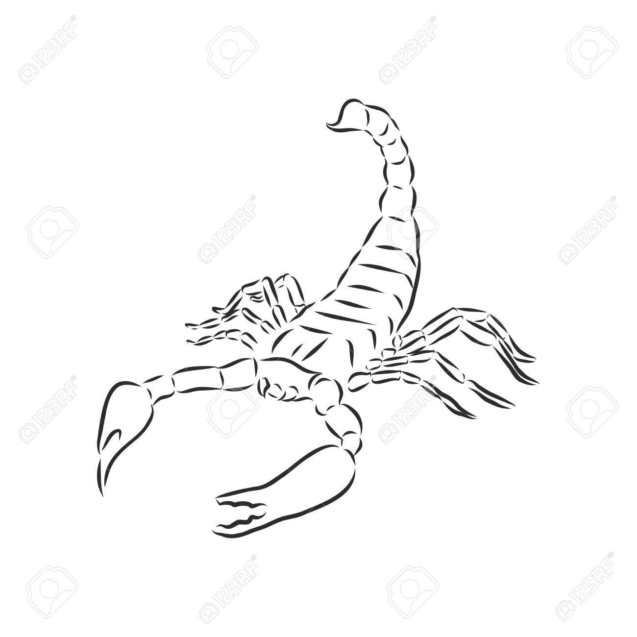 Detail Scorpion Silhouette Tattoo Nomer 31