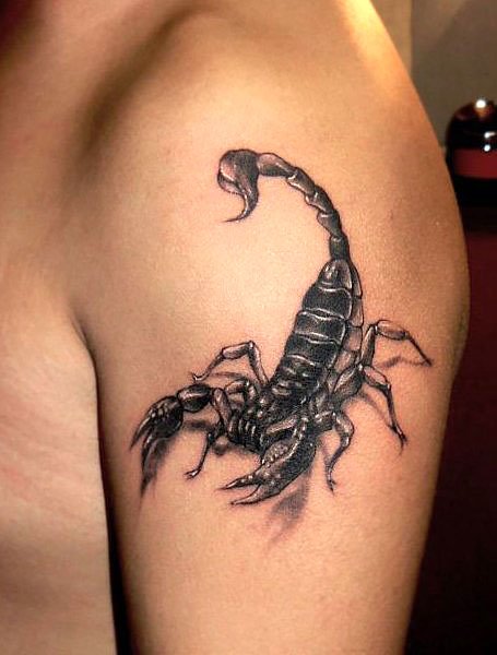 Detail Scorpion Silhouette Tattoo Nomer 34