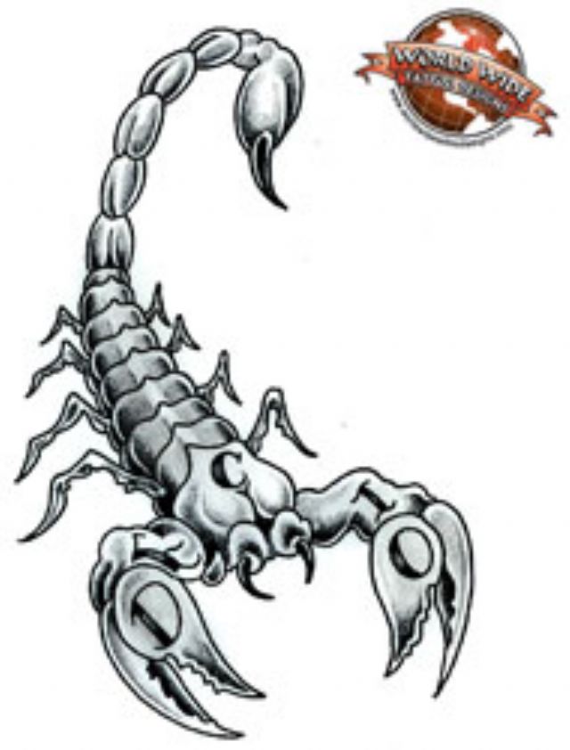 Detail Scorpion Silhouette Tattoo Nomer 35