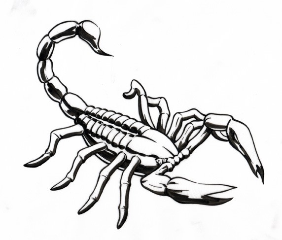 Detail Scorpion Silhouette Tattoo Nomer 47