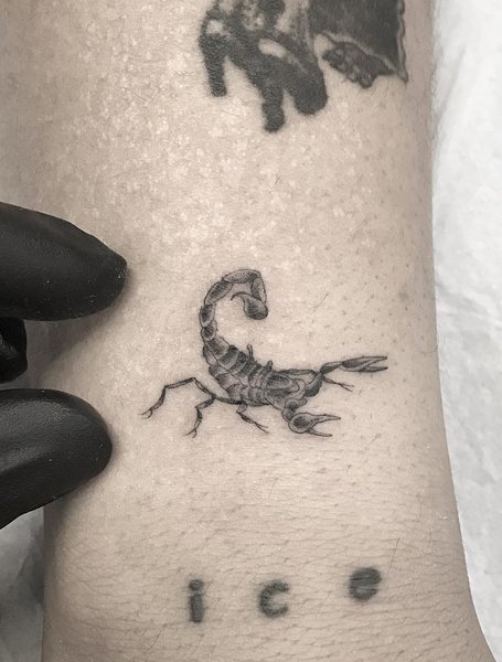 Detail Scorpion Silhouette Tattoo Nomer 48