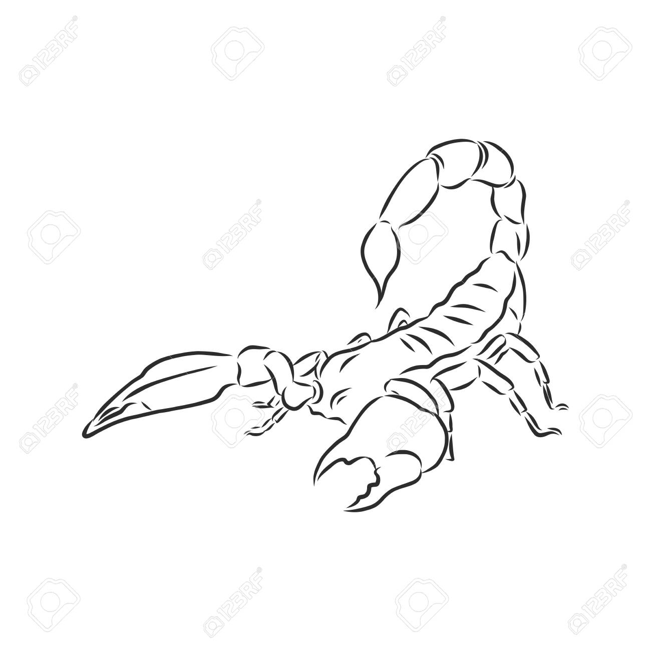 Detail Scorpion Silhouette Tattoo Nomer 49