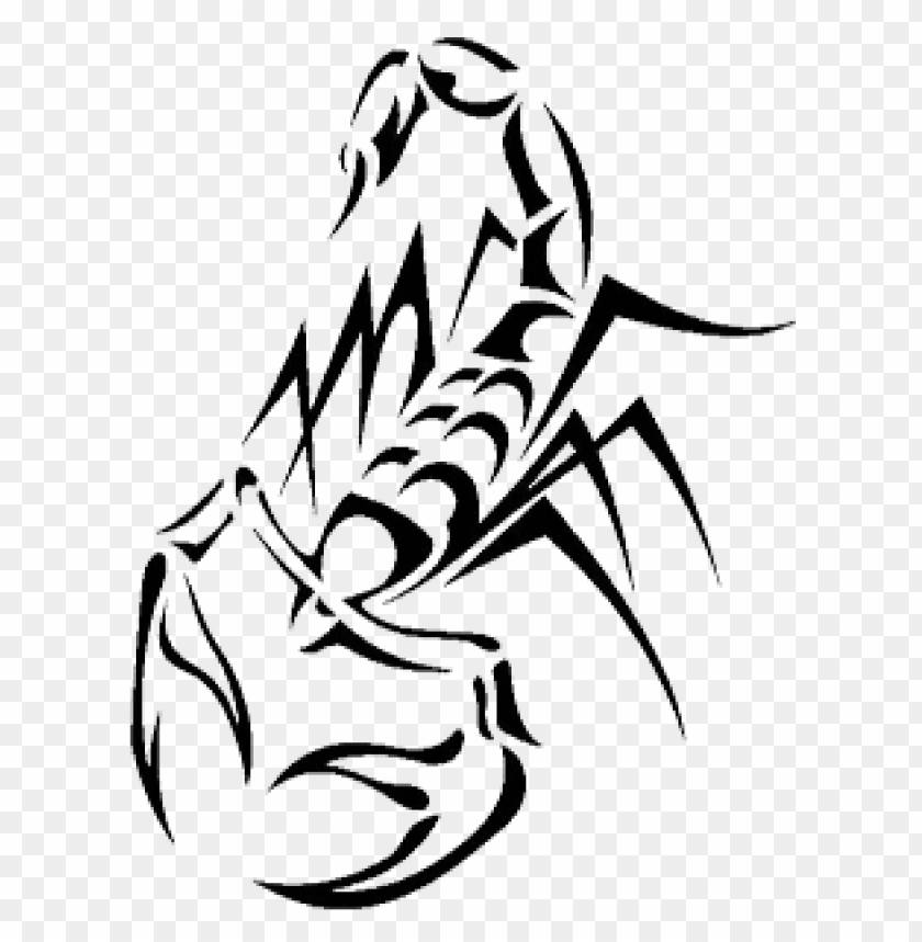 Detail Scorpion Tattoo Png Nomer 4