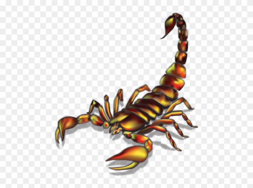 Detail Scorpion Tattoo Png Nomer 41