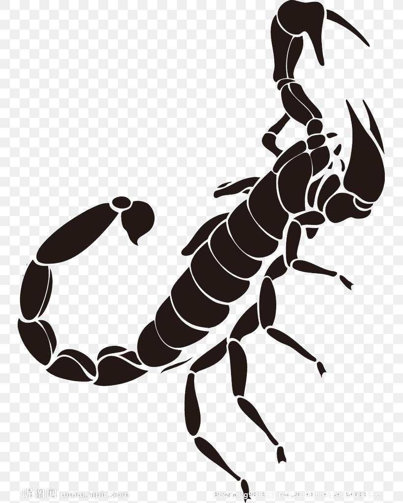 Detail Scorpion Tattoo Png Nomer 9