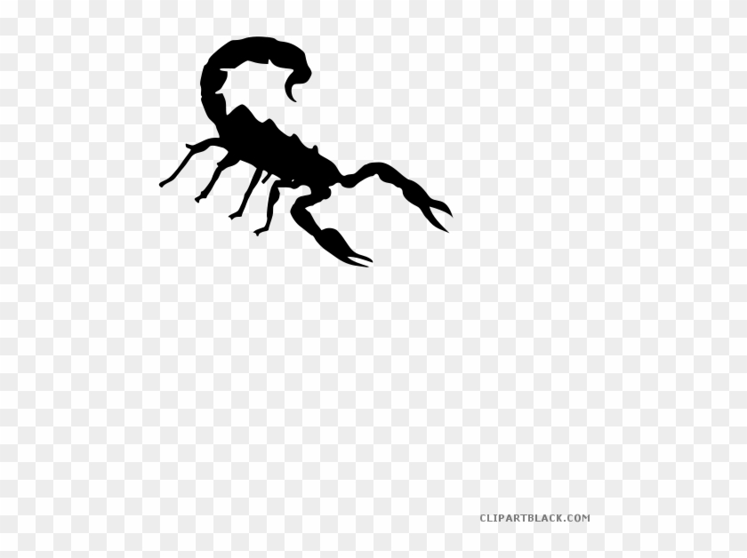 Detail Scorpion Transparent Nomer 39