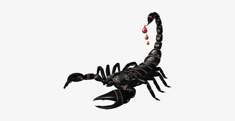 Detail Scorpion Transparent Background Nomer 10
