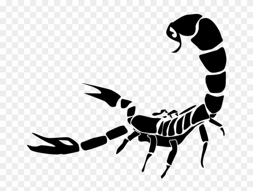 Detail Scorpion Transparent Background Nomer 17