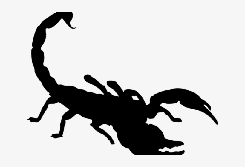 Detail Scorpion Transparent Background Nomer 28