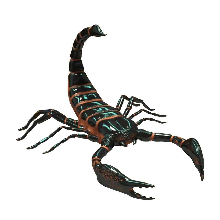 Detail Scorpion Transparent Background Nomer 5