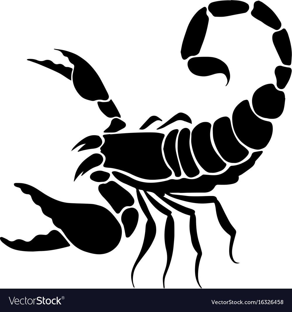 Scorpion Vector Image - KibrisPDR