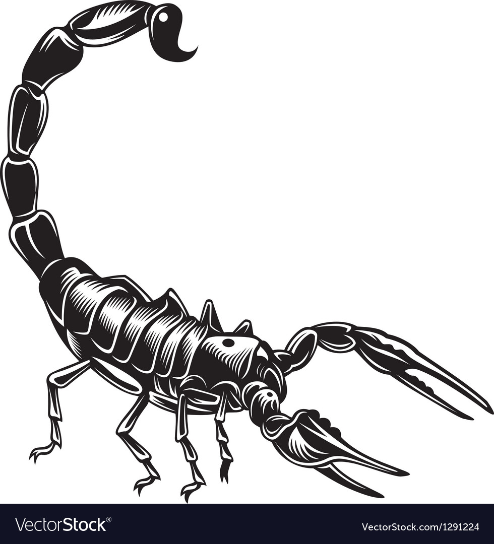 Detail Scorpion Vector Image Nomer 2