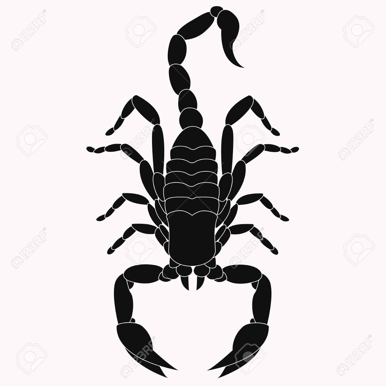 Detail Scorpion Vector Image Nomer 11