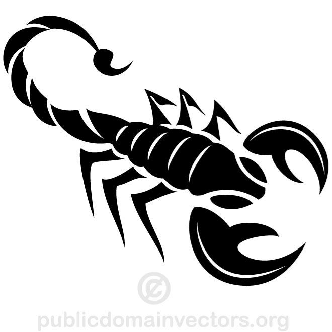 Detail Scorpion Vector Image Nomer 12